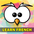 Learn French Language