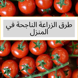 طرق الزراعة الناجحة في المنزل