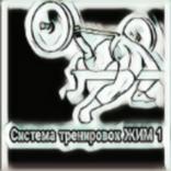 Жим 1 Суровецкий А. Е. система
