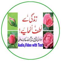 Zindagi Se Lutf Uthaiye الملصق