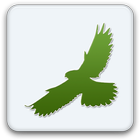 SmartBirds icône