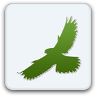 SmartBirds icon