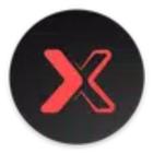 The X icon