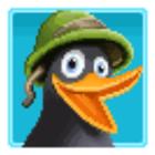 Crazy Penguin icon