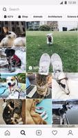 InstaPro captura de pantalla 2