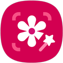 AutoDoodle aplikacja