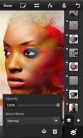 Adobe Photoshop Touch captura de pantalla 1