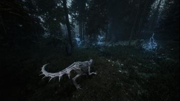 Beautiful Light screenshot 1