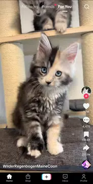Screenshot 2 for TikTok