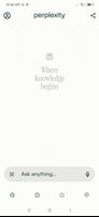 Perplexity poster
