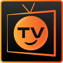 APK Mega TV