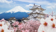 Best 10 Japan Travel Apps for Android