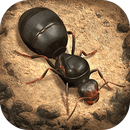 小小蚁国：真实蚁巢 APK