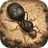 小小蚁国：真实蚁巢 APK